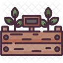 Plants  Icon