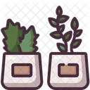 Plants  Icon