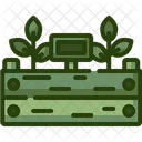 Plants  Icon