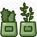 Plants  Icon