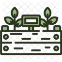 Plants  Icon