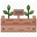 Plants  Icon