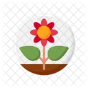 Plants Flower Gardening Icon