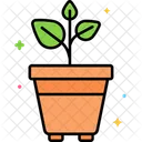 Plants  Icon