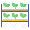 Plants  Icon