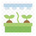 Plants Farming Agriculture Icon