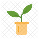Nature Plant Garden Icon