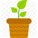 Plants pot  Icon