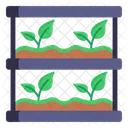 Plants Shelf  Icon