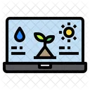 Laptop Plants Water Icon