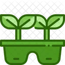 Plántula de planta  Icon