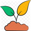 Agricultura Ganaderia India Icon