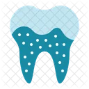 Plaque Dental Tooth Icon