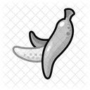 Banana  Icono