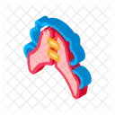 Braces Bridge Brush Icon