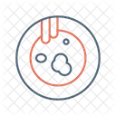 Plate  Icon