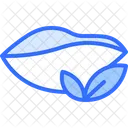 Plate Leaf Tea Icon