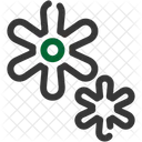 Platelet Thrombocyte Blood Icon