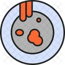 Platte  Symbol