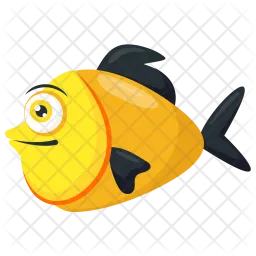 Platy Fish  Icon