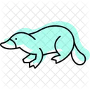 Platypus Mammal Duckbill Icon