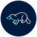 Platypus Icon