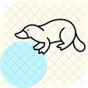 カモノハシ アイコン