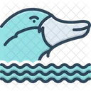 Platypus Nocturnal Burrowing Icon