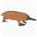 Platypus  Icon