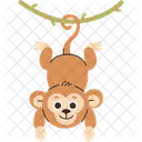 Monkey Vine Hanging Icon