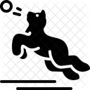 Playing With Dog Playing Dog Icon