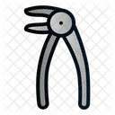 Pliers Tools Dental Icon