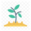 Growth Soil Plant Icon