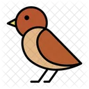 Plover Sandpiper Bird Icon