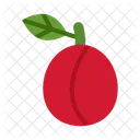 Plum Fruit Food Icon