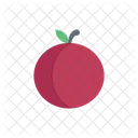 Fruit Plum Juicy Icon