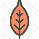 Plum Leaf Nature Icon