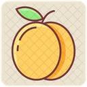 Plum Fresh Fruit Icon