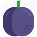Plum Fruit Healthy Icon