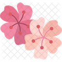 Plum Blossom Cherry Icon