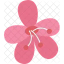 Plum Flower Blossom Icon