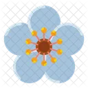 Plum Blossom  Icon