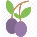 Plum Fruit Twig Icon