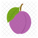 Plum Greengage Damson Icon