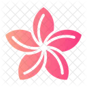 Plumeria Botanical Blossom Icon