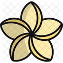 Plumeria Tropisch Blume Symbol