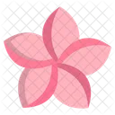 Plumeria Flower Flowers Icon