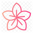 Plumeria Flower  Icon