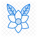 Plumeria  Icon