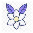 Plumeria Flower Nature Icon